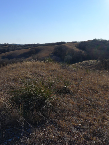 P1010657-L.jpg