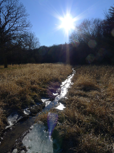 P1010647-L.jpg