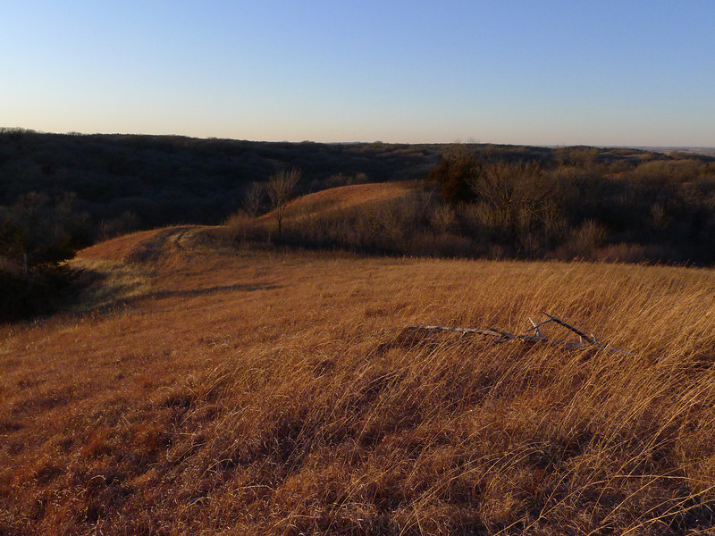 P1010699-L.jpg
