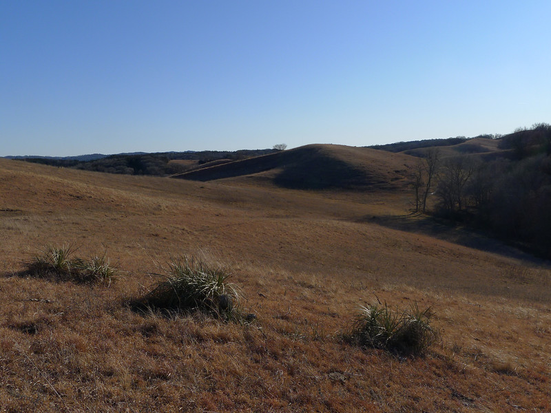 P1010662-L.jpg