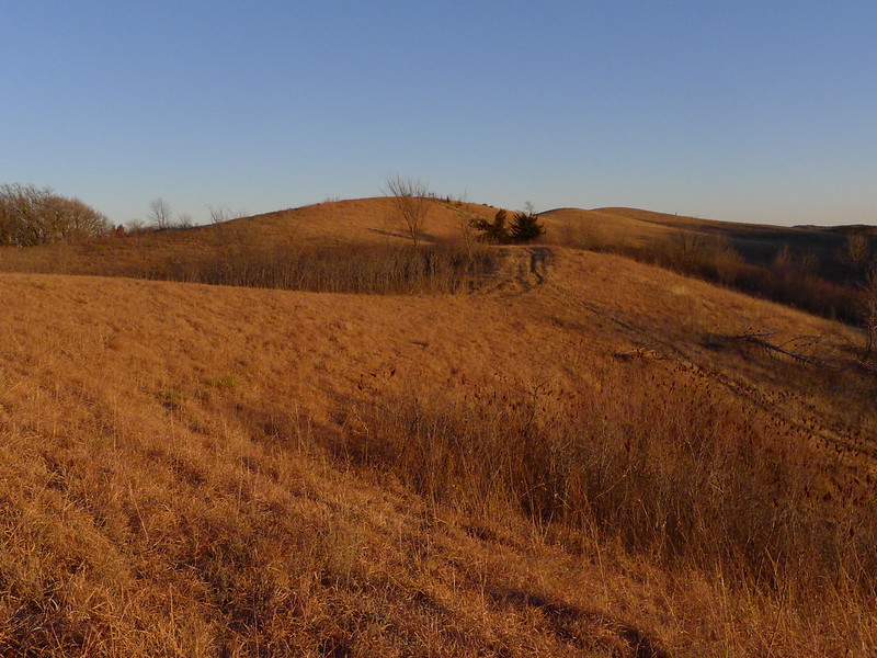 P1010697-L.jpg