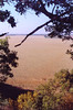 starkfiles > Looking over the river valley from the new horse trail.