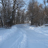 starkfiles > IMG_0613.JPG