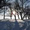starkfiles > IMG_0614.JPG